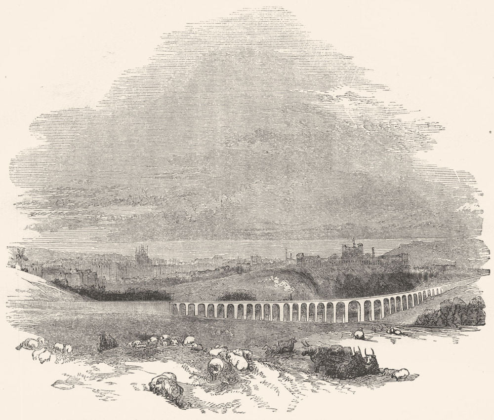 SUSSEX. Brighton, from Preston 1850 old antique vintage print picture
